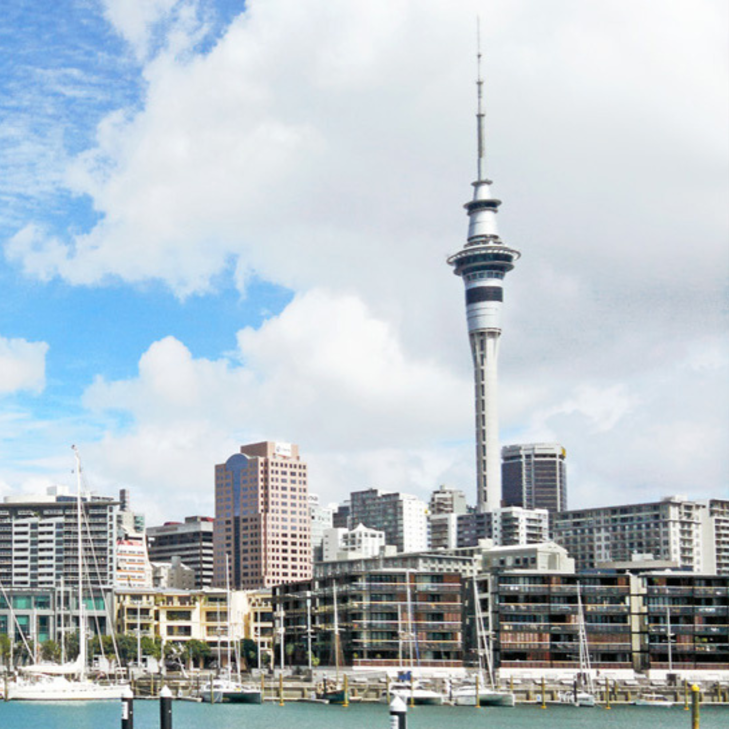 AKL Square image.png